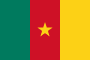 Drapeau du Cameroun