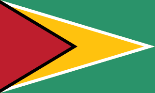 Drapeau du Guyana