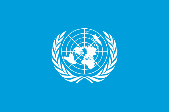 Organisation des Nations unies